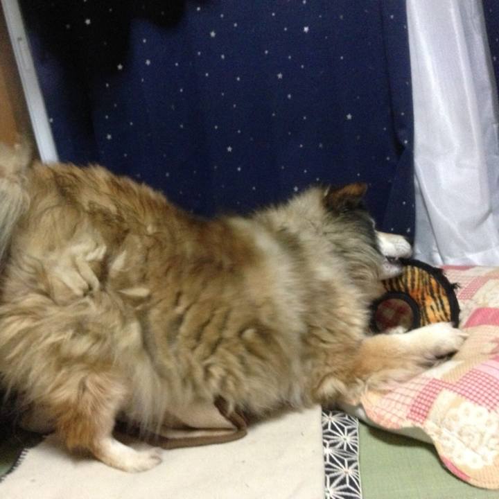 6705e99e 3923 4ba4 8f60 5fbcd24b33c0 1559932936154