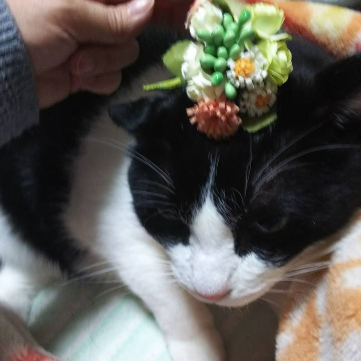 6705ffa0 4c58 4c88 91da aa97dc687769 1539948967184