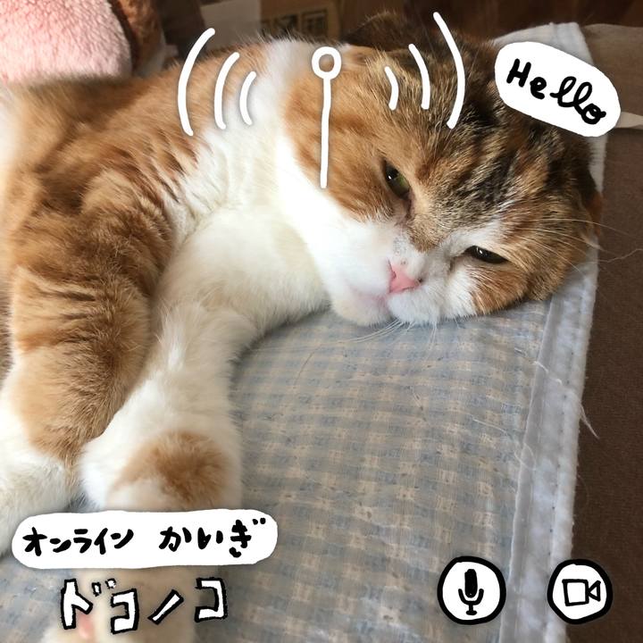 67062c69 0b7d 4d7e b9bd 715d620cc630 1590811583801