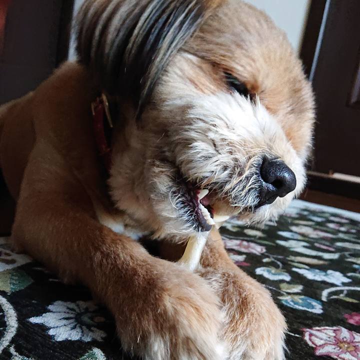 67067e64 e05c 4b1e 8c23 1c7a50067b5a 1556786807367