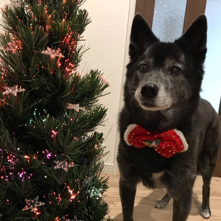 6706ae0c 5f12 4a69 9aad 20999dadca0b 1608890662760