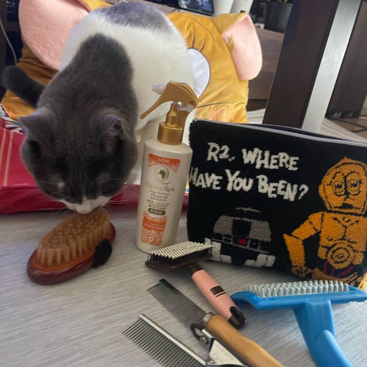 6706d23b a393 42d4 9e73 8aabda1992f8 1754782483452