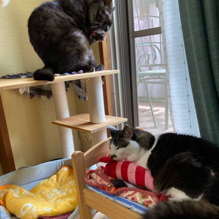 6706d326 be5f 46a1 9d2a 72def9de9963 1716518593963