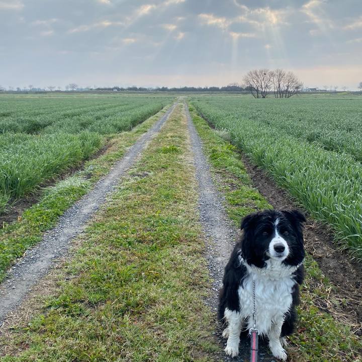 67071319 03cb 4a13 a9f3 7979e08bc3e7 1648080248844