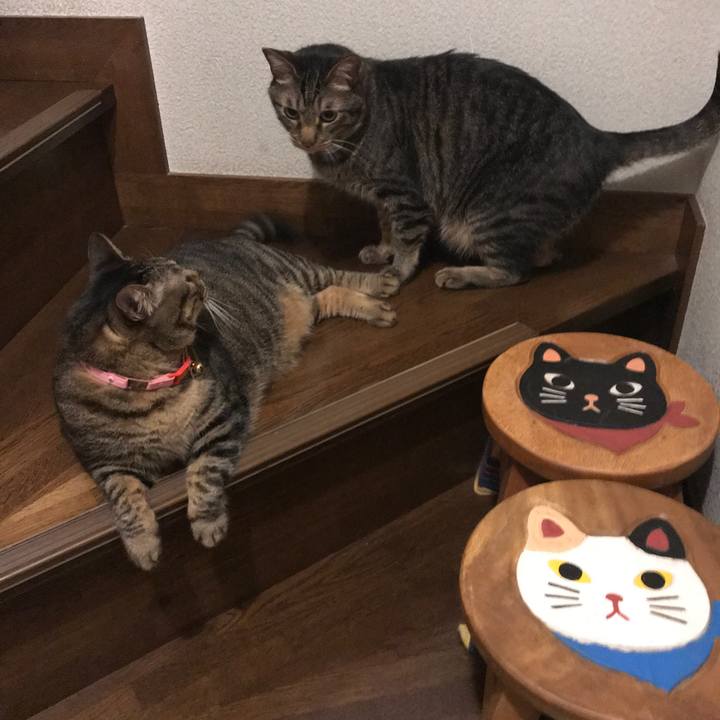 67074037 eb7f 451c 93e3 86f22796eaf7 1590849666874