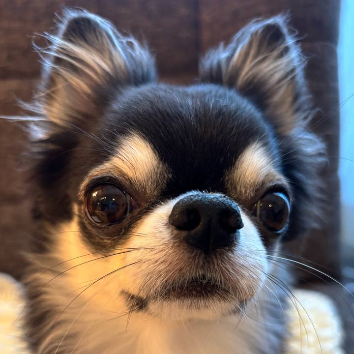 670751a9 ac9b 487c 86d6 c258941d7d6c 1728776830993