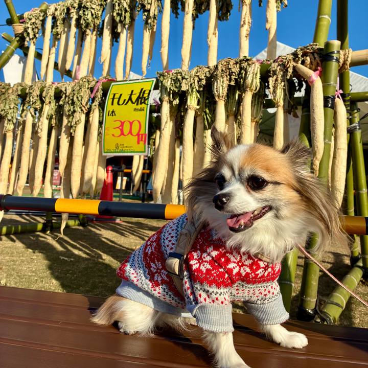 67075ac5 de48 481a 9336 2dd57e82b179 1764466150099