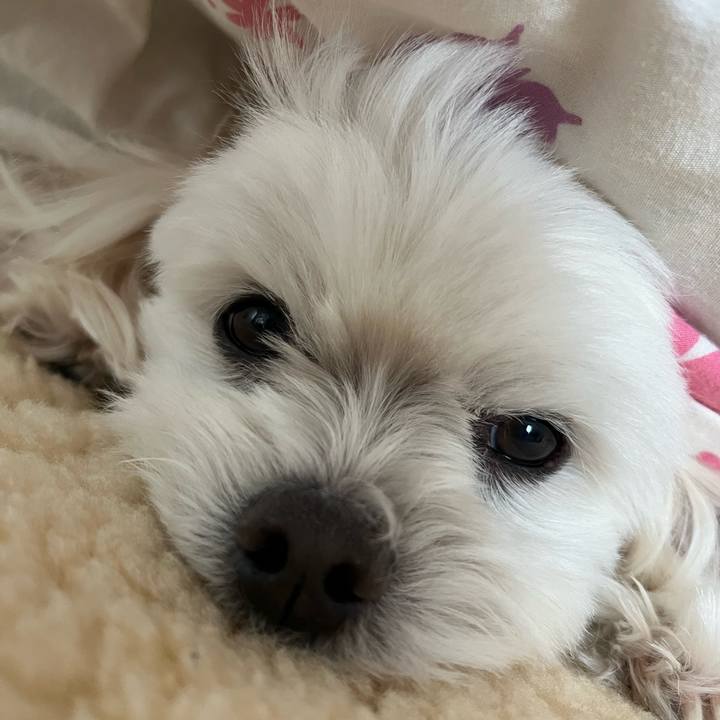 67076dc5 7c81 4be7 922d e30c1b2193cc 1673308257734