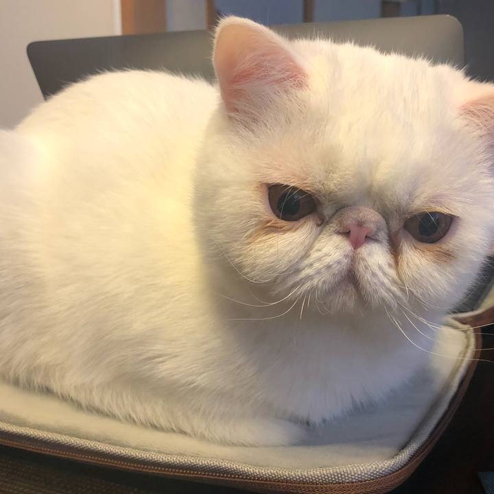 67078138 342b 4663 8a6f 04e82beb64d5 1582980744794