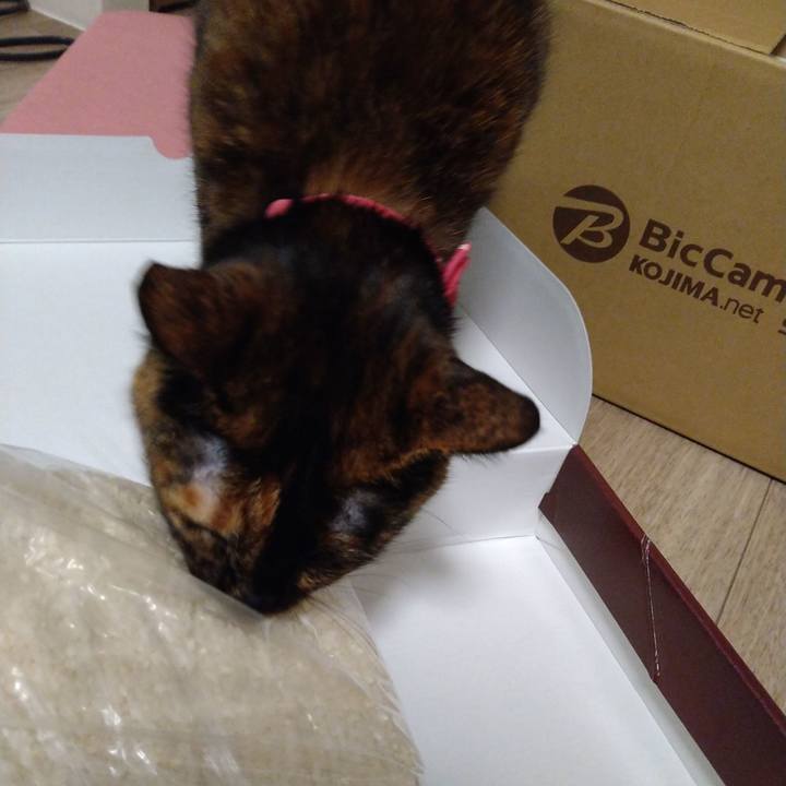 6707920f d22e 43bf acd4 0fae6812f11b 1612265948376