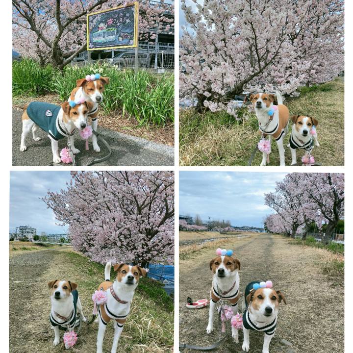 6707a94a 925a 4a9c bb17 315b30783445 1773655585806