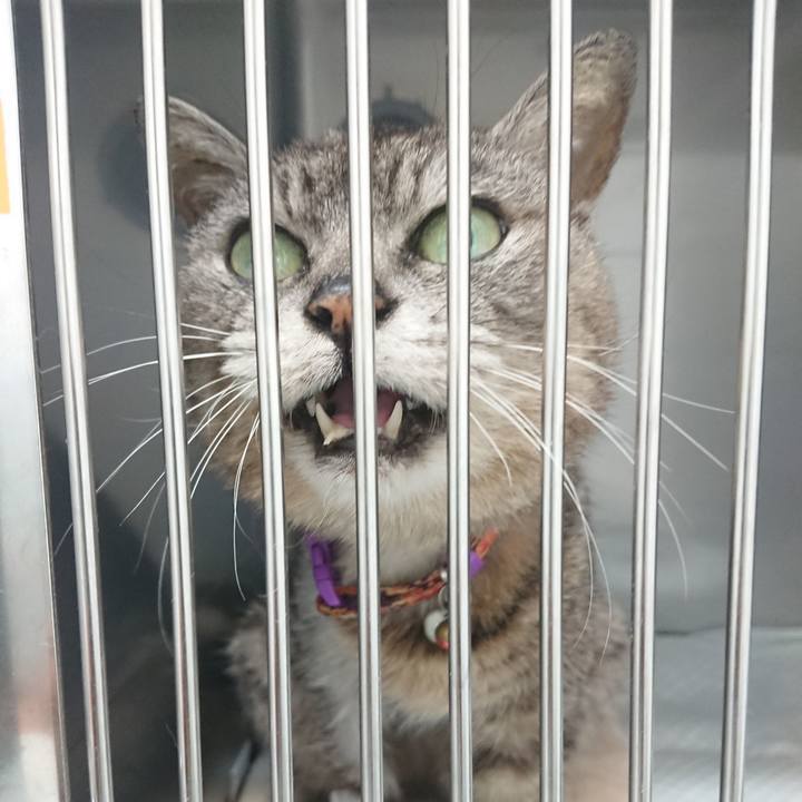 6707fde7 fd1e 4a8c 86e9 4c4b20fbe14e 1597819099020