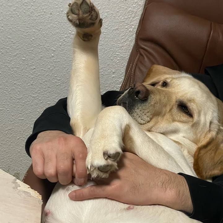 6707ff00 a83d 4580 85d0 45e0aa6d291a 1677764004024