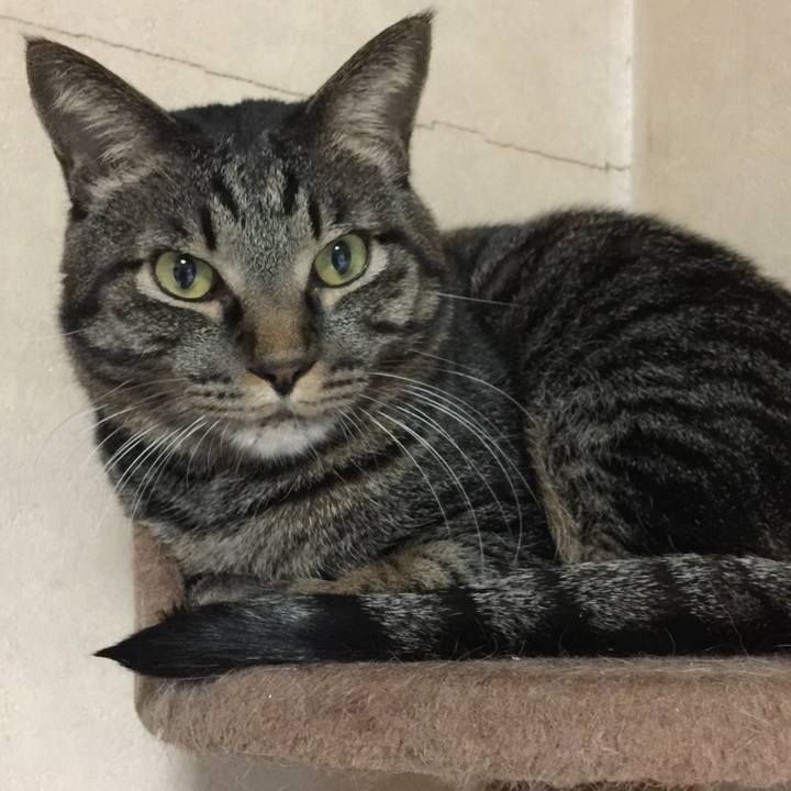 67080f12 ff68 4f6c 802c 3e91e75b3616 1559820891850