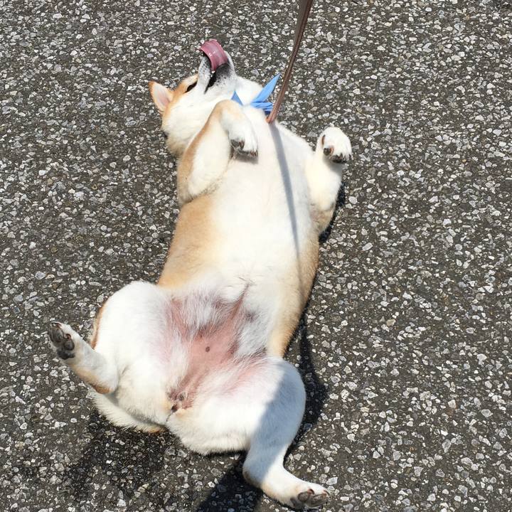 67081ef6 0581 466c 91aa 02db17bbfcca 1560915269951