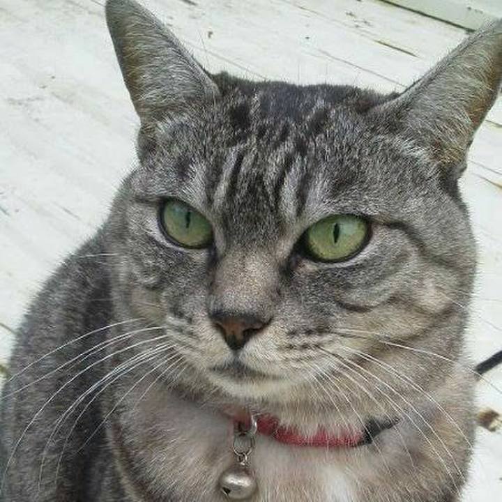 670838c7 94ad 4c71 92f2 5ec9ac8cf908 1585633720766