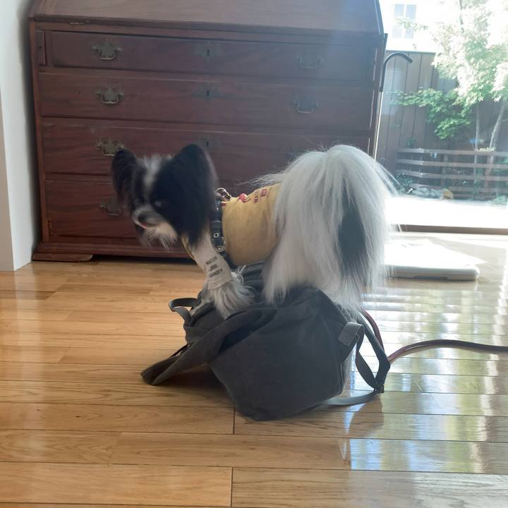 670842f0 3752 4583 b2a9 58c76fedf929 1572651960474