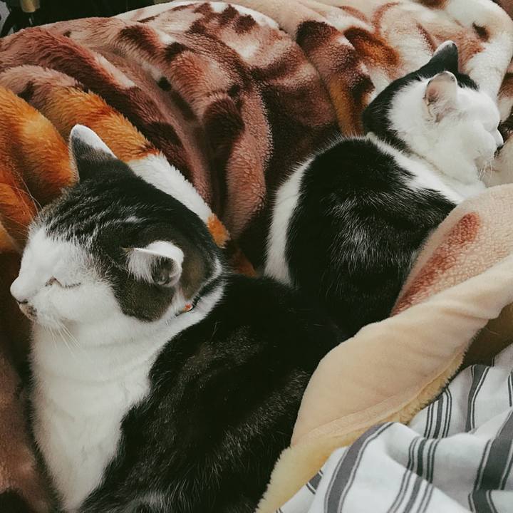 6708bb79 400a 49dc 9c9a 372102c2da16 1515818965623