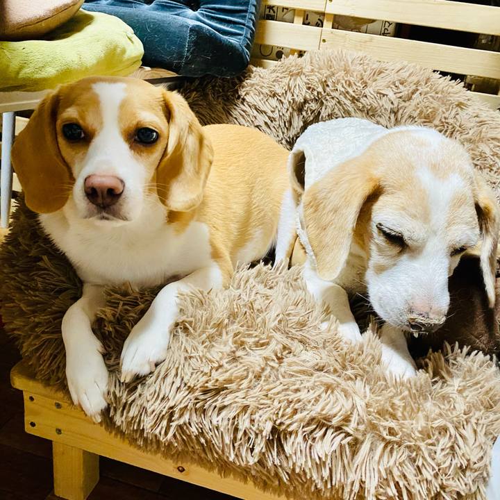 6708e3c7 a601 4598 8c14 67b233001497 1636007210429