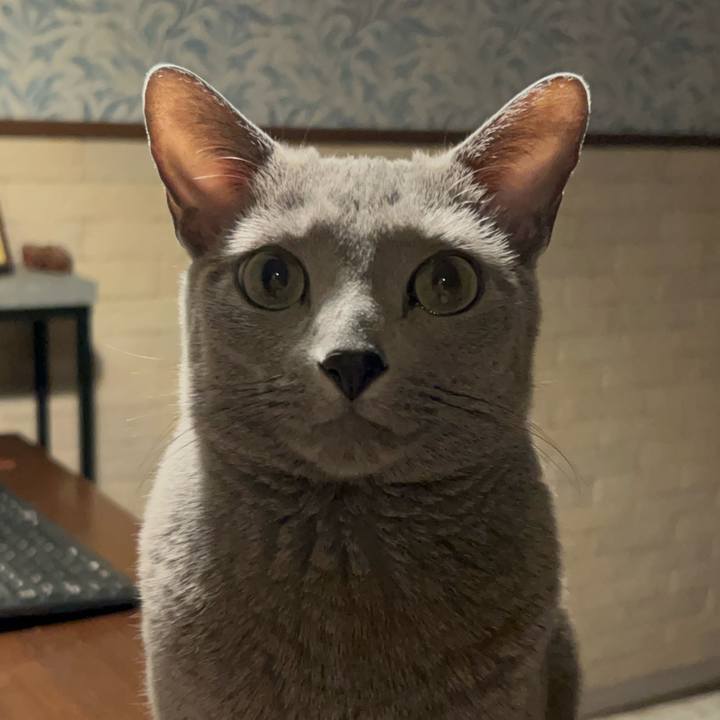 6709123d 00ba 4c57 a1a5 365b3521d6b7 1739061659430