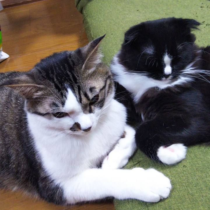 67094ff5 422c 4d4d 8fd3 aa8a27efdb47 1645003695350