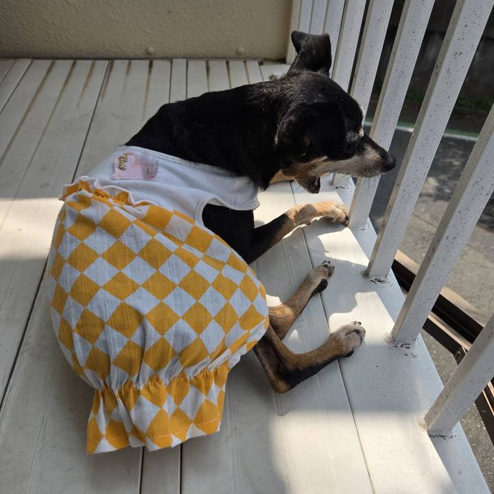 67099d36 cd16 48a8 b188 fe9250ebda97 1752024837547