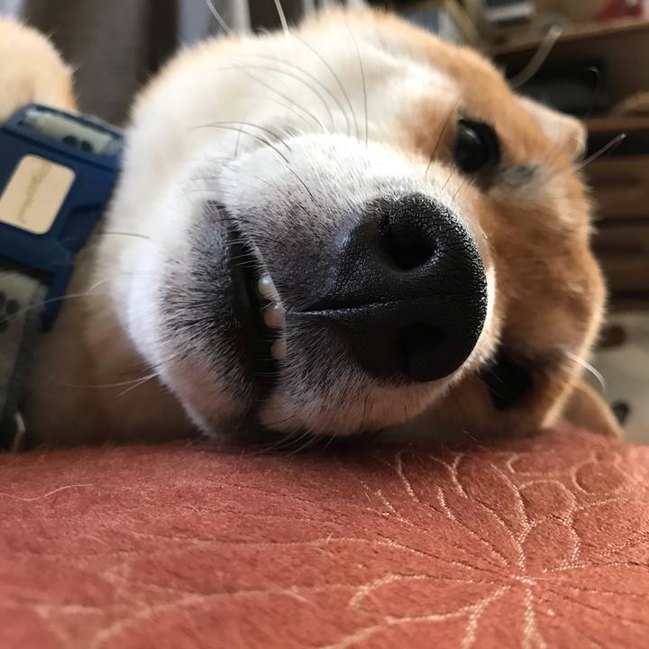 6709a19f e86b 49d3 aa02 5155db32f06c 1595116253555