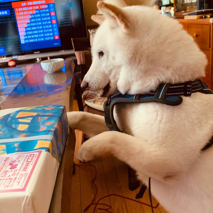 6709bdbe 55b9 49bc 9ae5 534f33db2abe 1629096100353