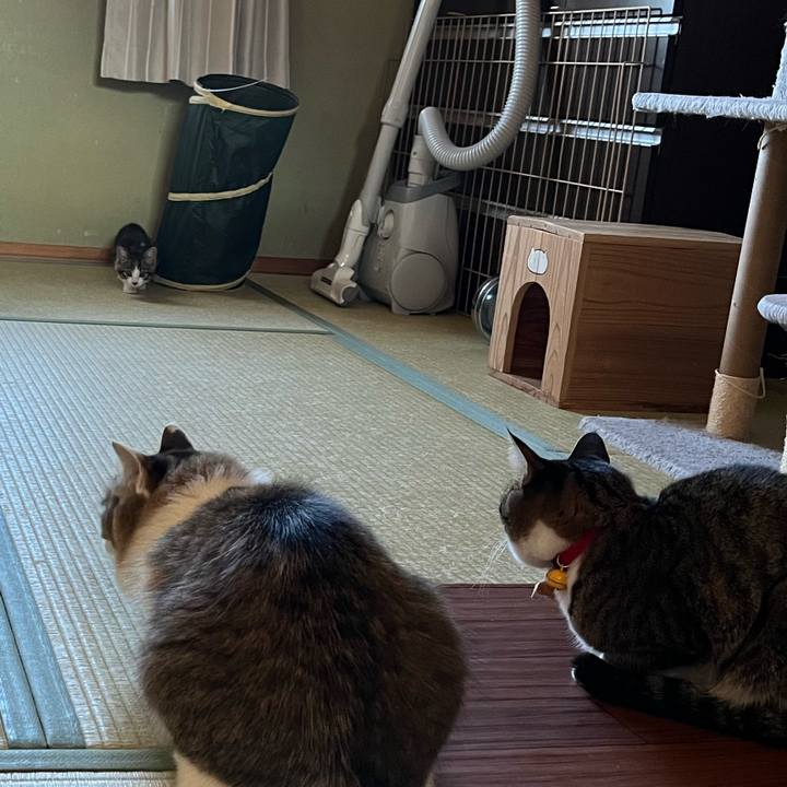 6709c17c 9309 4aa7 8ef2 aa25d148a347 1766917771427