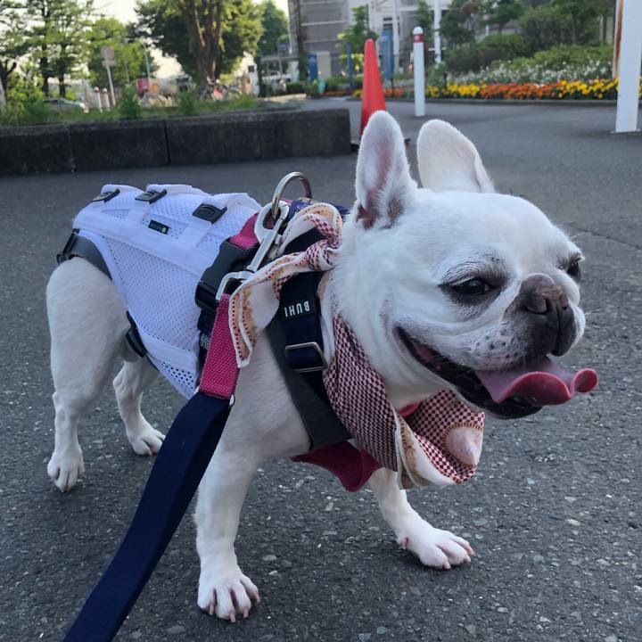 6709cb38 ee86 4d67 ba1e 484d7420c49a 1623407488910