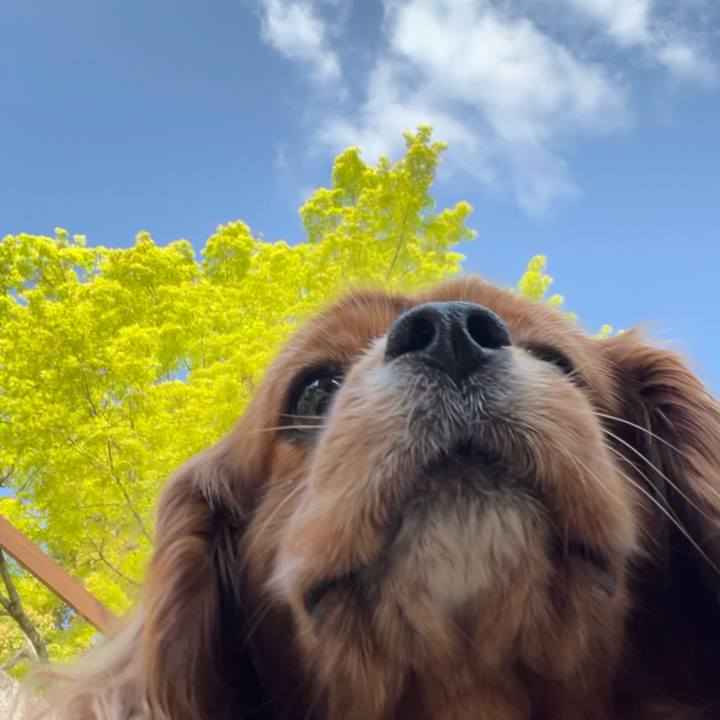 670a2c26 ed24 4b31 91c6 5f1701631a76 1680998438132