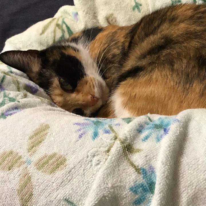 670a3ad5 5fe7 472a 9f0d 483dcd015a7c 1541677106277