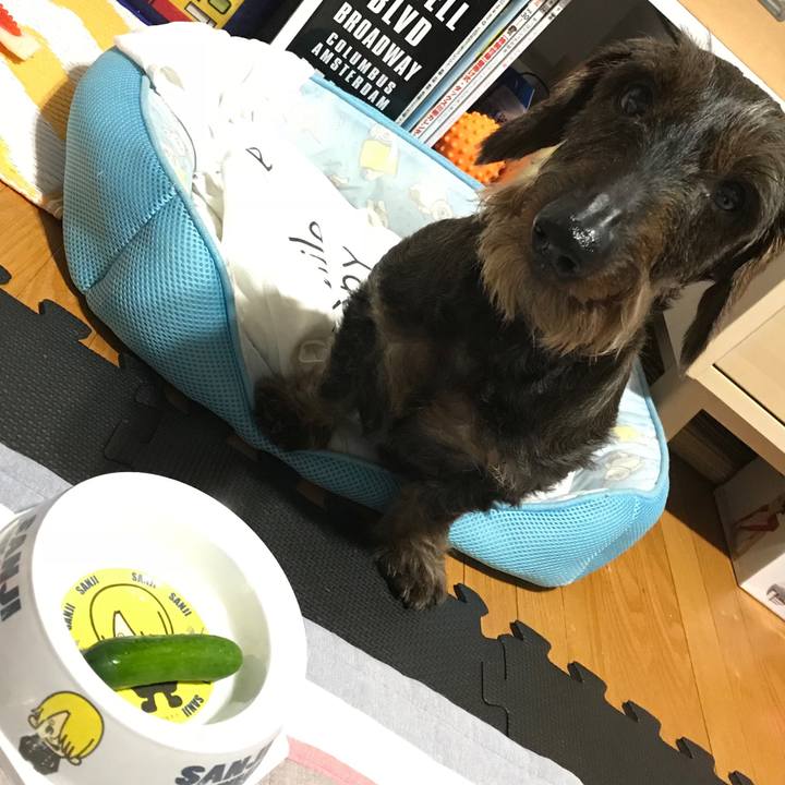 670a3d44 8821 4770 af70 5b8b14626cbc 1528723571426