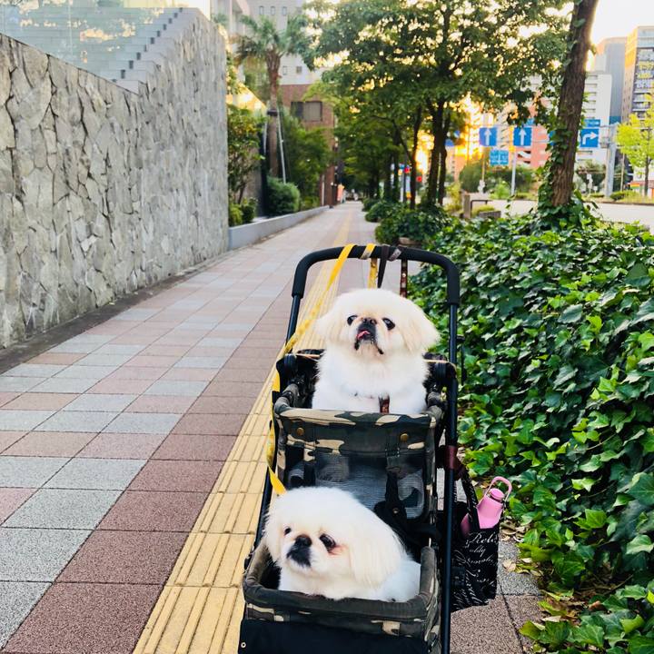 670a4088 186b 4166 8c18 dbd7d6349c9b 1598743245811