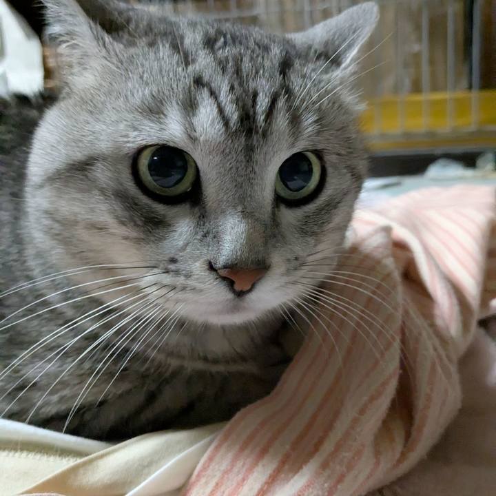 670a4205 fe33 4dd5 b0ee bf6ab8f23b20 1746460368178