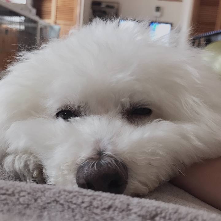 670a75e9 45f9 4564 a655 3293efd5e4ab 1586762947285