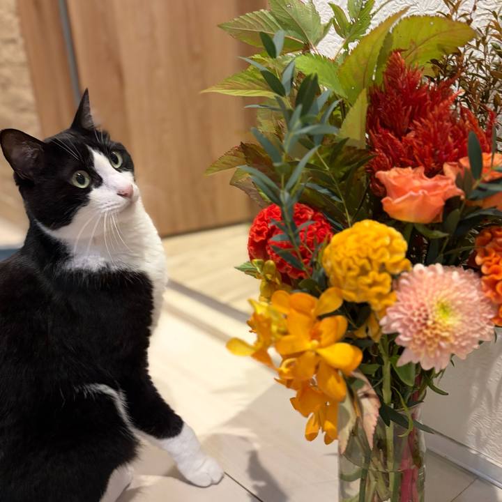 670a8d68 e1c9 45c1 96d7 46571dc10ba9 1760798167857