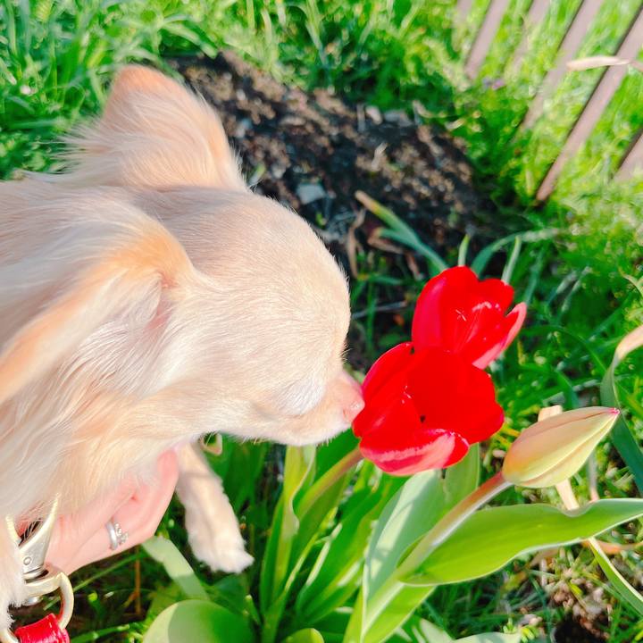 670ac065 e75c 4c44 8895 3648324a8a18 1649162601149