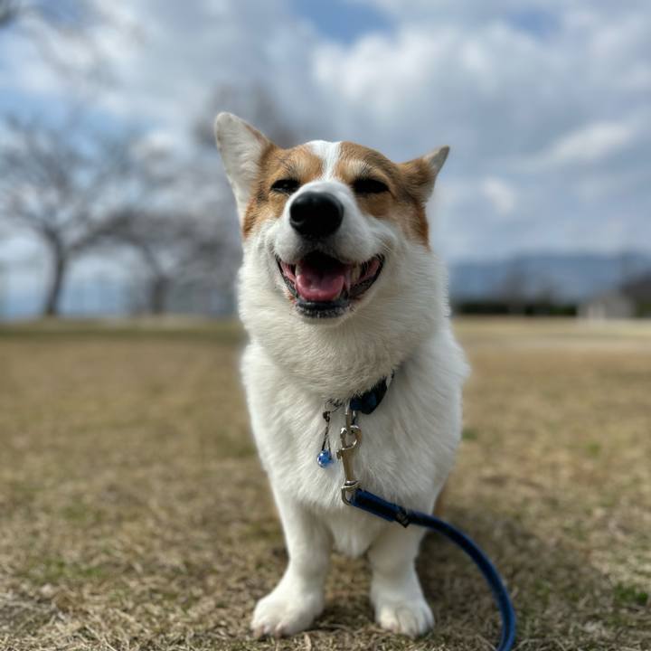 670acb57 9636 4a26 9ddb 6d7442602655 1772862425673