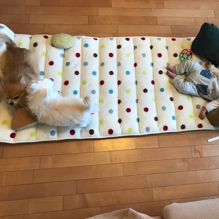 670ad0cd ee5c 4a20 9019 d9269499dfbf 1515975761319