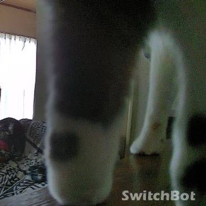 670b3f1b 6bab 46d2 a8de b21ca7f4ad01 1750991532787