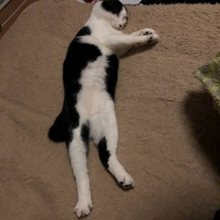 670b5efa 06e8 4a02 8bea 5523d2720a10 1546203225574