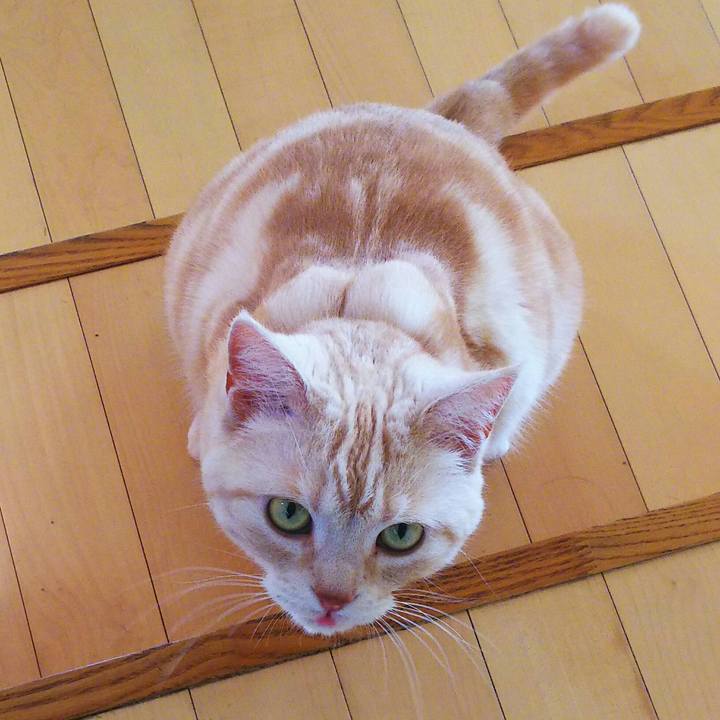 670b7cf6 b9b3 4f8d a786 9ef517b6b460 1522198595623