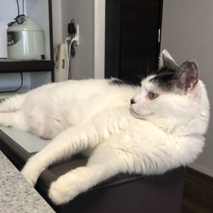 670b8fa6 4d61 44c0 a458 f903163ab8b3 1596755515887