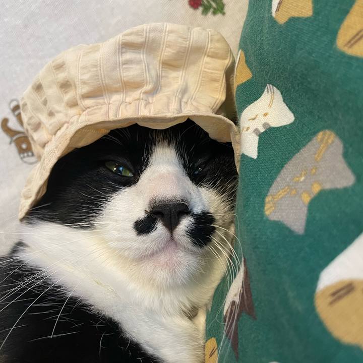 670ba40d 82ed 4fee a194 d7eba25ceab2 1661995606006