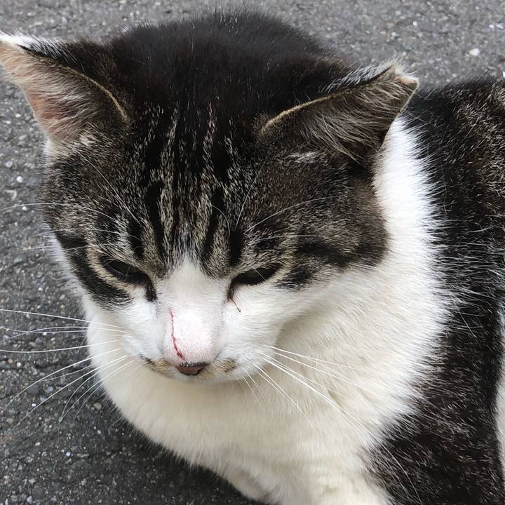 670bd2bf c763 400c 9eff a303835a9a86 1526597720387