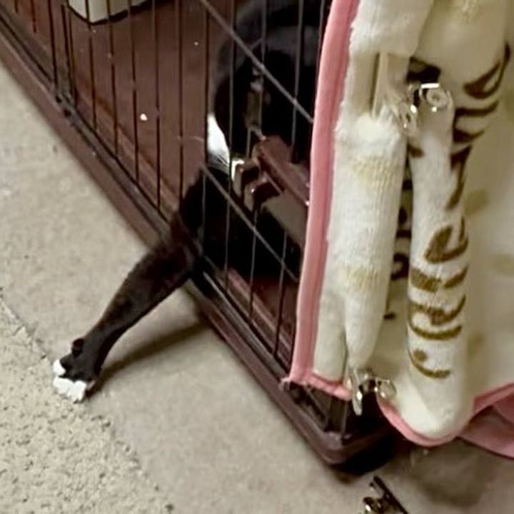 670bdbcb 2aac 4f5d ba9a 46cd68099a8f 1749893105663