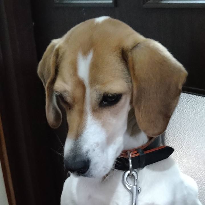 670bef5a d6a7 42e9 aa65 5838d95d9794 1641965477065