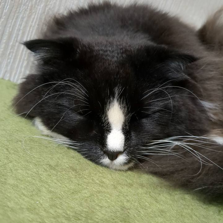 670c2512 7dd1 4c91 b340 9f1b811d72b5 1669012380706