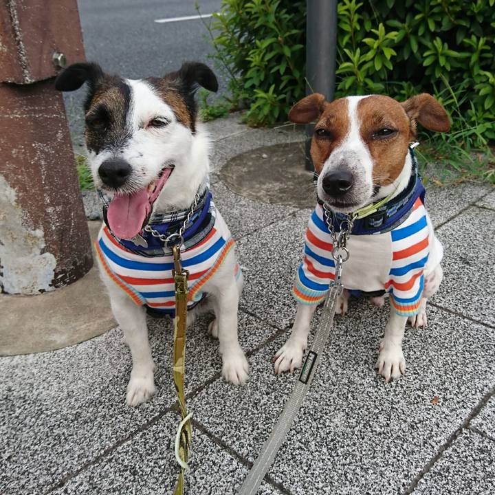 670c4074 ad2c 44b9 b074 b7a167c68136 1596493494957